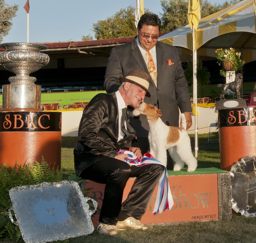 Best in Show in Santa Barbara